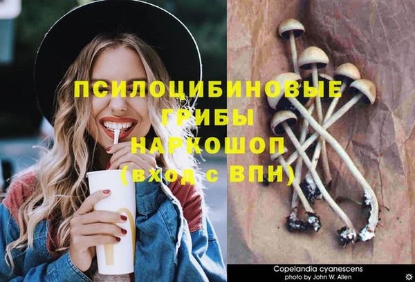 mdpv Михайлов