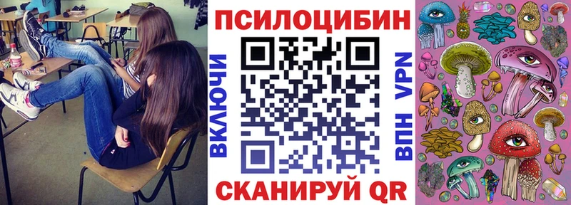 дарнет шоп Качканар Галлюциногенные грибы мицелий