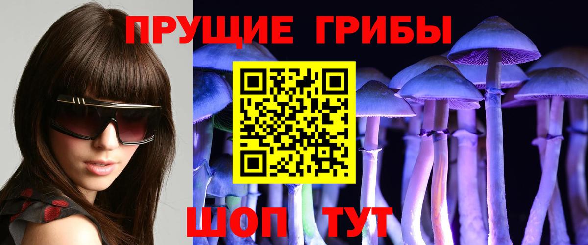 Качканар  Галлюциногенные грибы прущие грибы  Галлюциногенные грибы мухоморы  Вход с VPN 